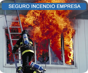 segurode incendio sismo robo empresa