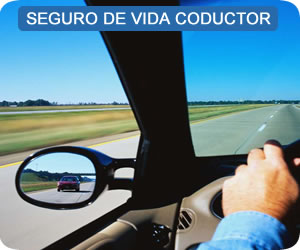 <vida conductor>